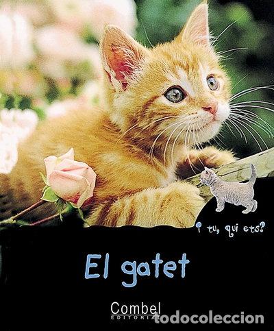 Libros: El gatet- 9788478642304 - Foto 1