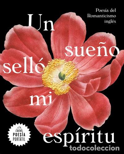 Libri di seconda mano: Un sue&ntilde;o sell&oacute; mi esp&iacute;ritu- 9788439735328