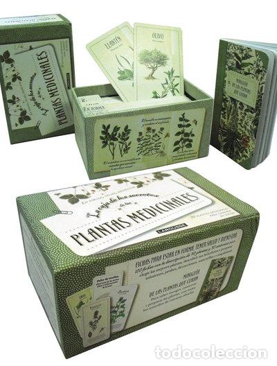 B&uuml;cher: Los secretos de las plantas medicinales- 9788480169110