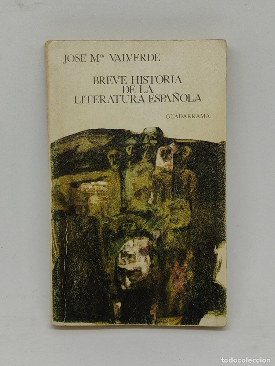 Libros: Breve historia de la literatura espa&ntilde;ola - Jos&eacute; Mar&iacute;a Valverde tdk20