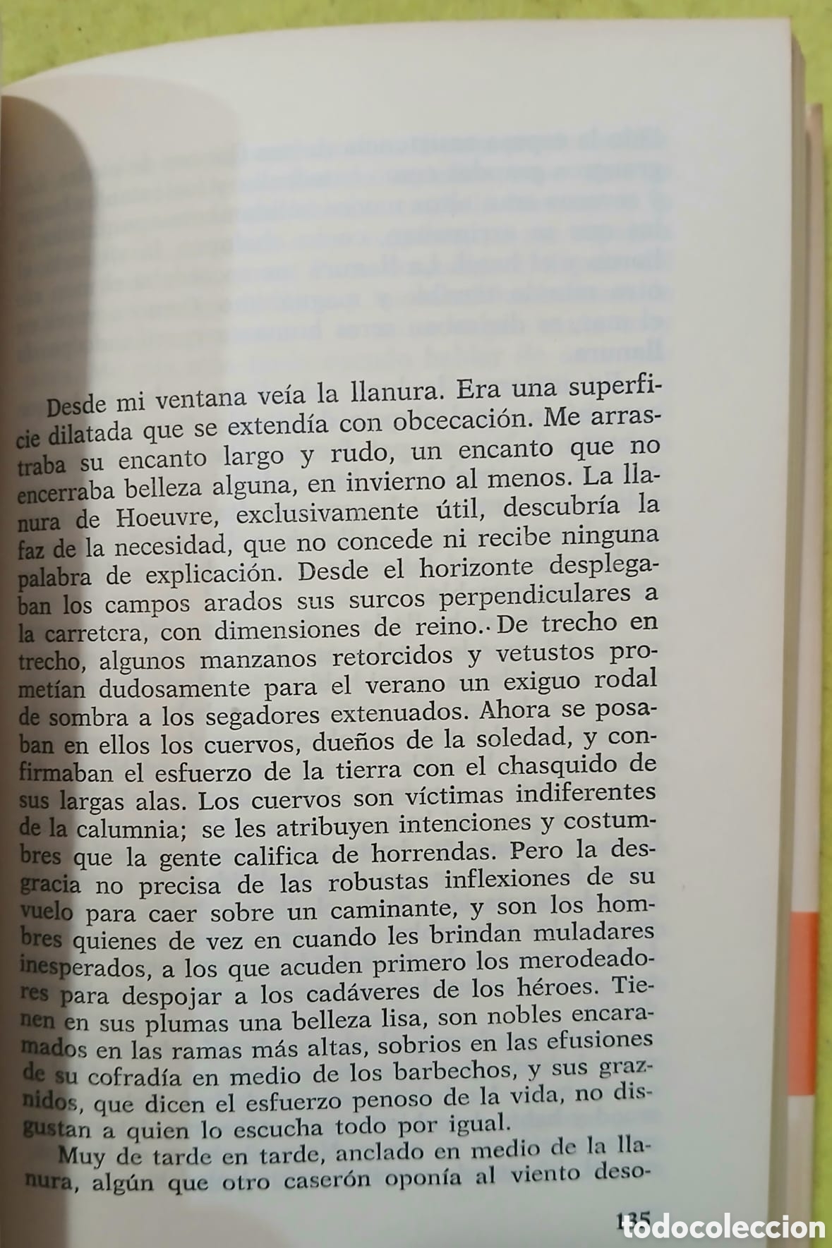 Libros: Memorias de Dirk Raspe - Foto 7