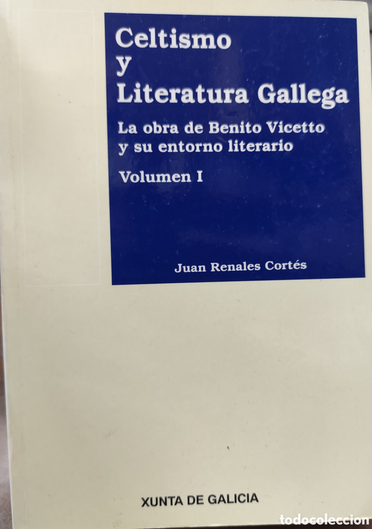 books: CELTISMO Y LITERATURA GALLEGA. La obra de Benito Vicetto y su entorno literario. Volumen I. Galicia
