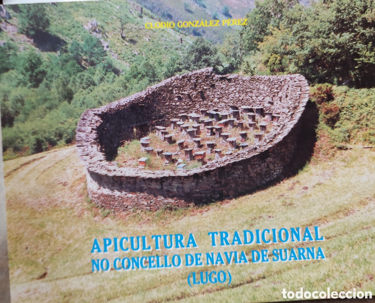 Libros: APICULTURA TRADICIONAL NO CONCELLO DE NAVIA DE SUARNA ( Lugo ). Dedicatoria autografa del autor. Gal