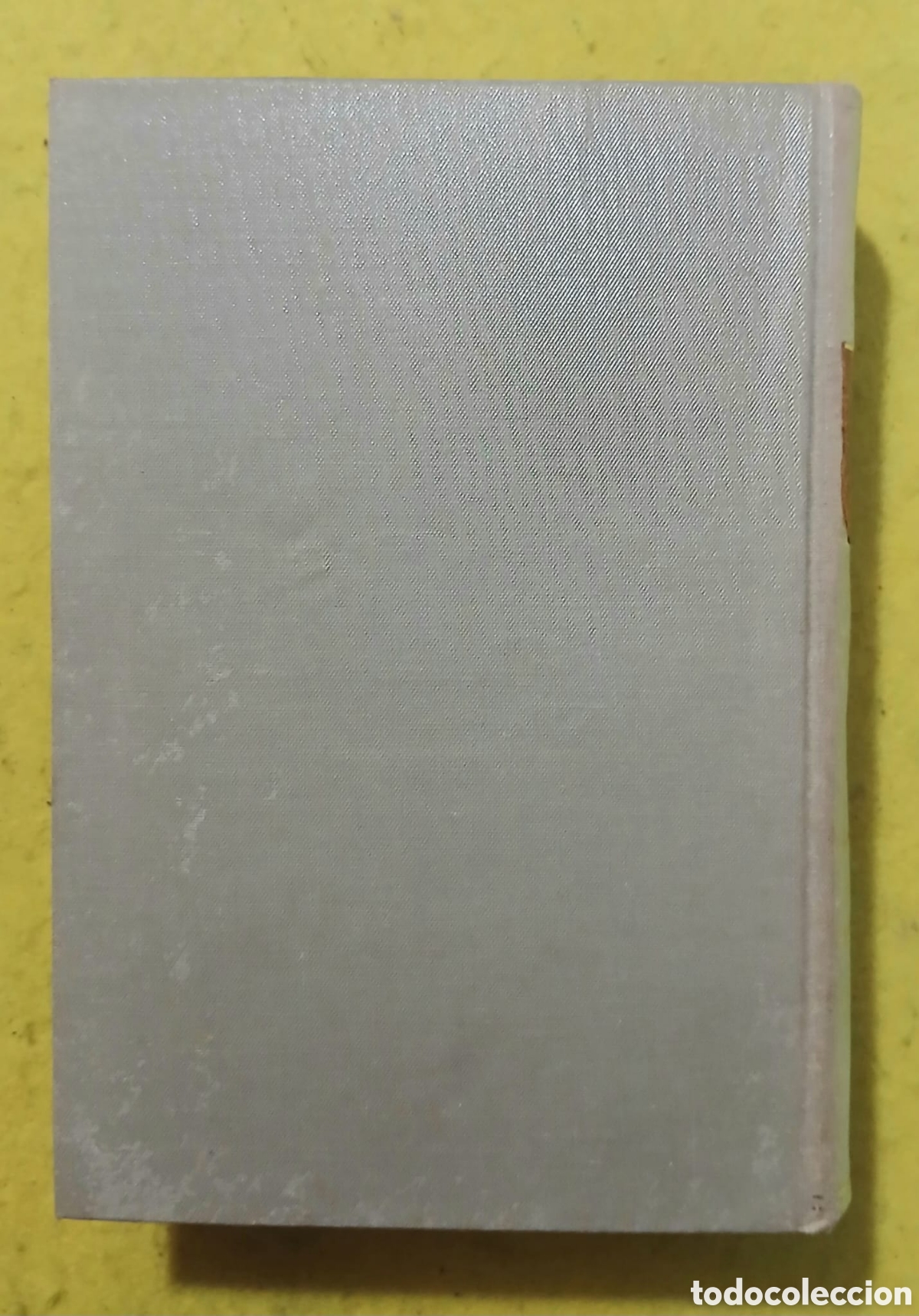 Libros: Parad&iacute;s, la Divina Comedia. - Foto 3