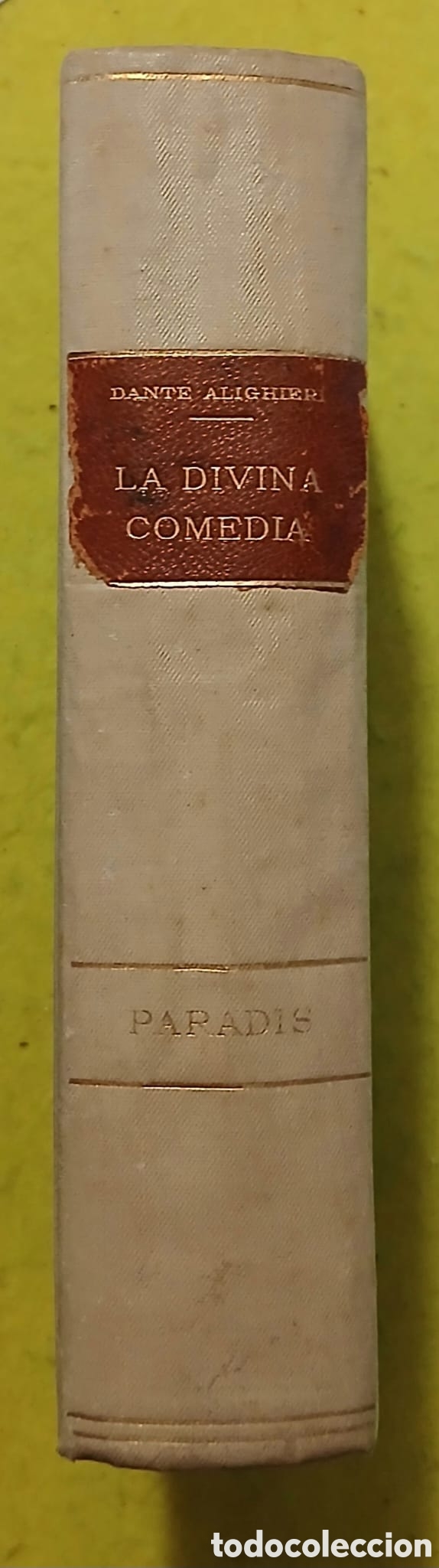 Libros: Parad&iacute;s, la Divina Comedia.