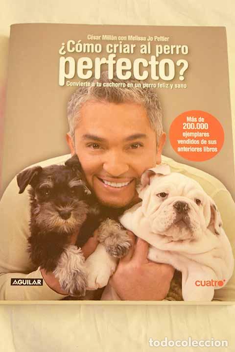 Livros em segunda m&atilde;o: &iquest;C&oacute;mo criar al perro perfecto?: convierte a tu cachorro en un perro feliz y sano.- Mill&aacute;n, C&eacute;sar