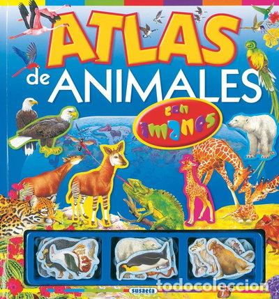 Libros: Atlas de animales con imanes- 9788430554577