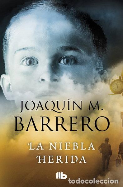Libros: La niebla herida- 9788498720587