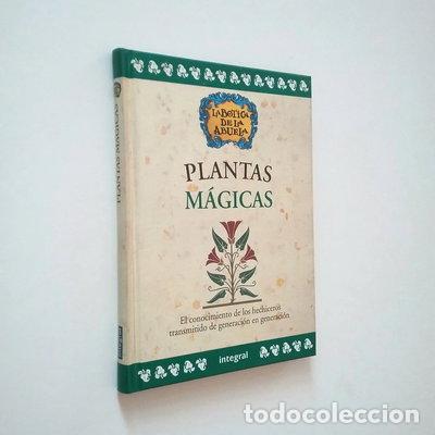 Libros: Plantas m&aacute;gicas- 9788479015800