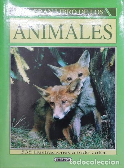 Livres: El Gran Libro De Los Animales- 9788430516186