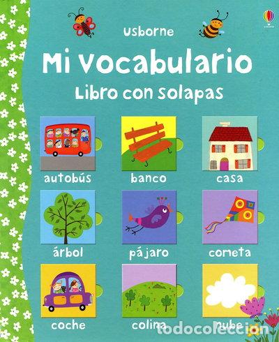 books: Mi vocabulario- 9781409527138