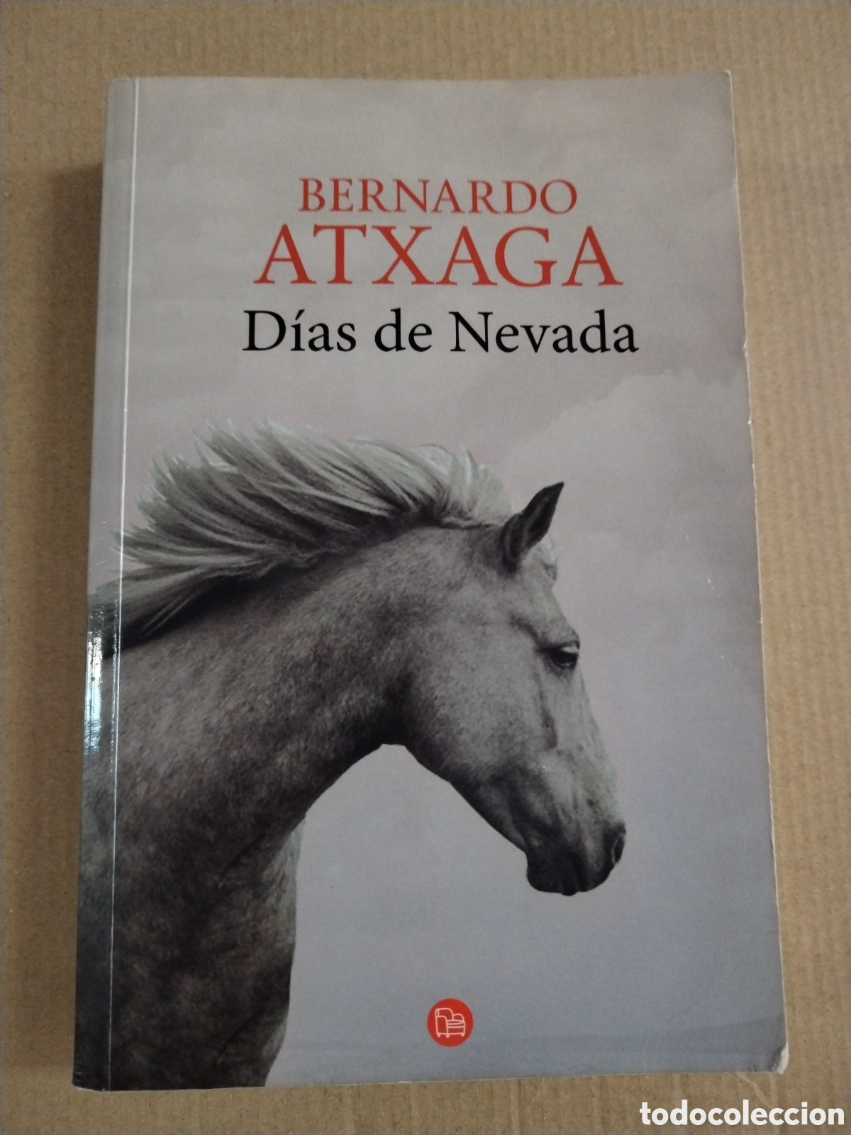 Libros: DIAS DE NEVADA. Bernardo Atxaga. CL.