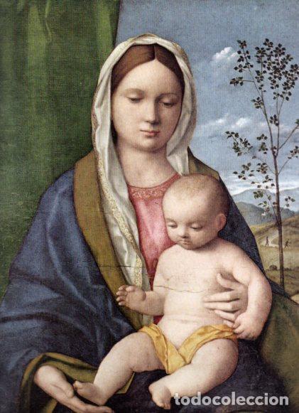 Livres: LAMINA V52681: Madonna por Bellini