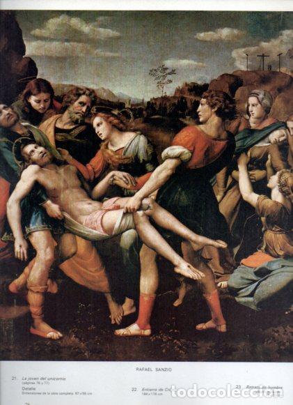 B&uuml;cher: LAMINA V52686: Entierro de Cristo por Rafael Sanzio