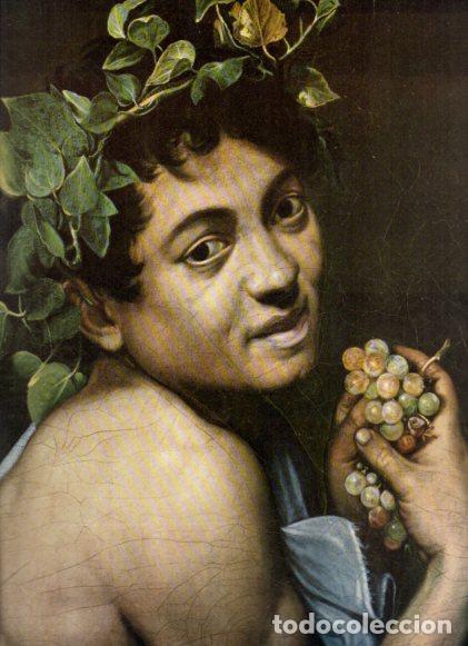 Libros: LAMINA V52700: Baco enfermo por Caravaggio, detalle