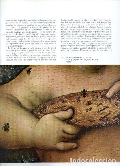 Libros: LAMINA V52705: Venus y Cupido con un panal de miel por L. Cranach el Viejo, detalle
