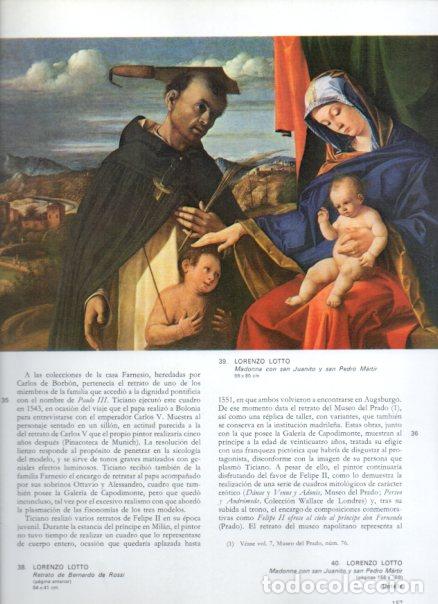 Livros em segunda m&atilde;o: LAMINA V52722: Madonna, san Juanito y san Pedro Martir por L. Lotto