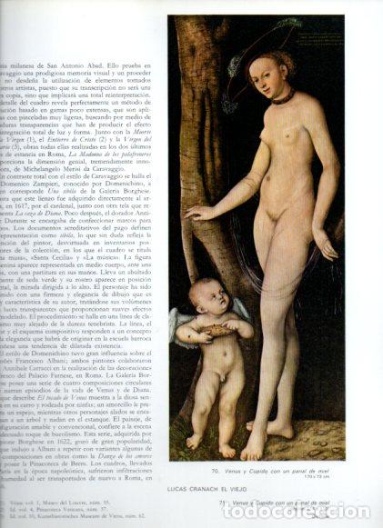 B&uuml;cher: LAMINA V52703: Venus y Cupido con un panal de miel por L. Cranach el Viejo