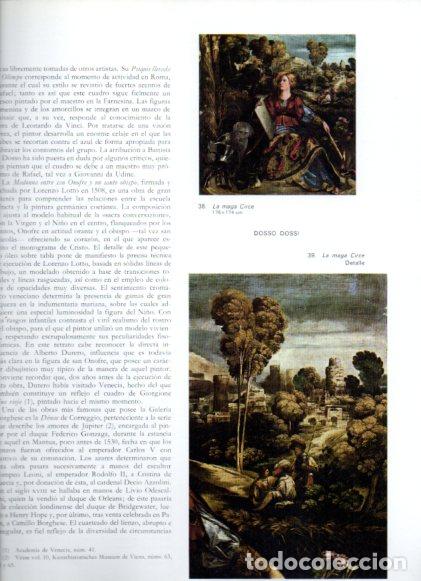 Libros: LAMINA V52694: La Maga Circe por Dosso Dossi