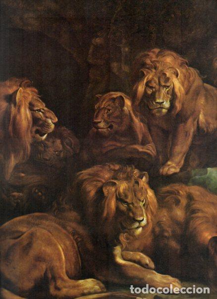Libri di seconda mano: LAMINA V52739: Daniel en el foso de los leones por Rubens, detalle