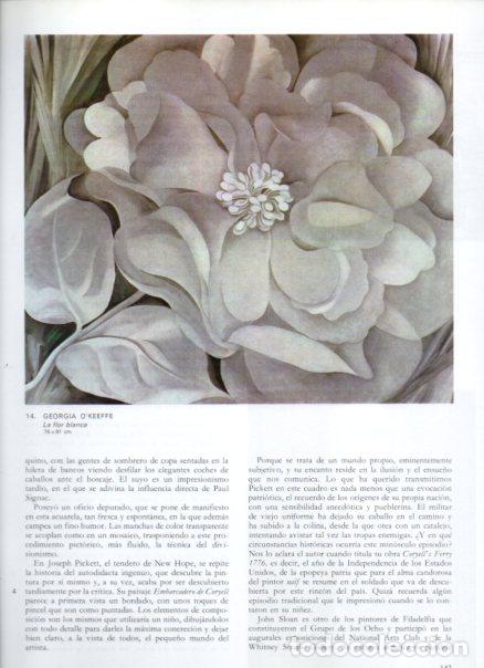 Libri di seconda mano: LAMINA V52798: La flor blanca por Georgia O'Keeffe