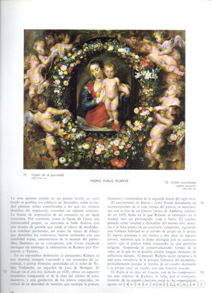 Libros: LAMINA V52996: Virgen de la guirnalda por Rubens
