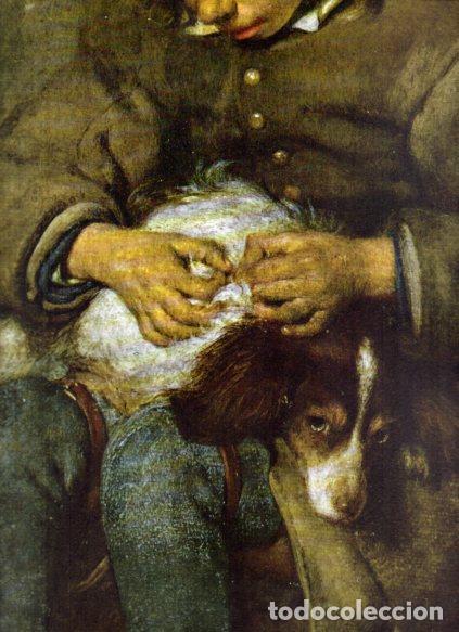 B&uuml;cher: LAMINA V53001: Muchacho despulgando a un perro por Gerard Ter Borch