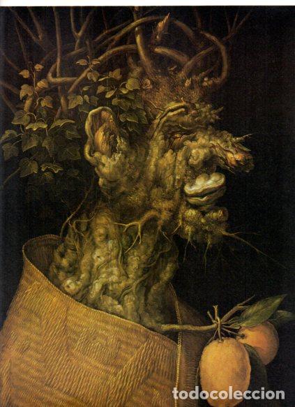 B&uuml;cher: LAMINA V53102: El invierno por Giuseppe Arcimboldo