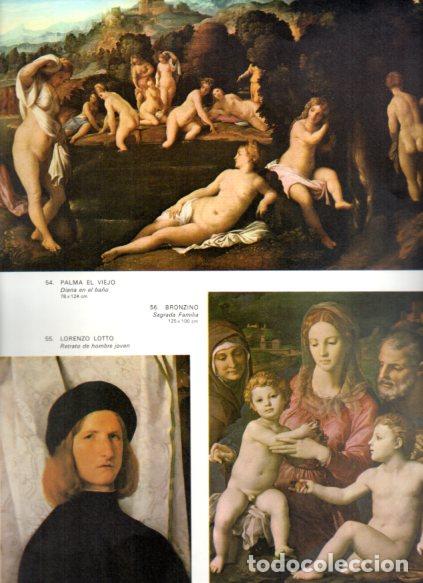 Livres: LAMINA V53095: Diana en el ba&ntilde;o por Palma el Viejo y Sagrada Familia por Bronzino