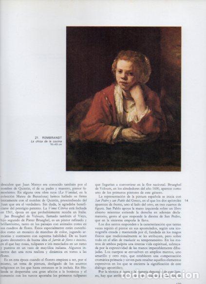 Libros: LAMINA V53194: La chica de la cocina por Rembrandt