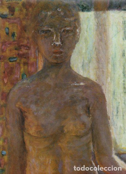 B&uuml;cher: LAMINA V53208: Desnudo a contraluz por Pierre Bonnard. Detalle