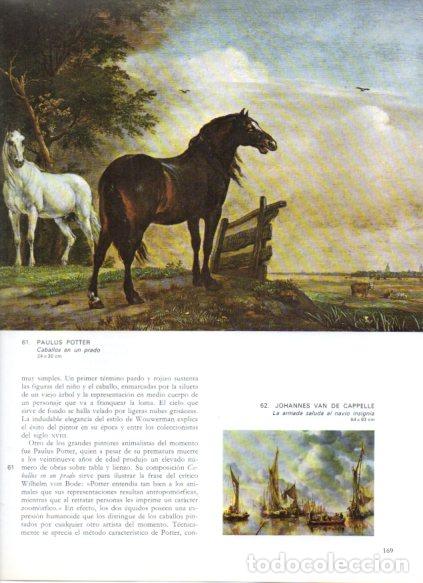 Libros: LAMINA V53288: Caballos en un prado por Paulus Potter