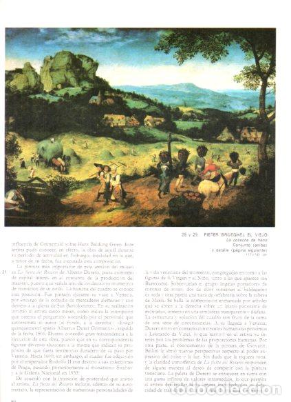 B&uuml;cher: LAMINA V53166: La cosecha de heno por Pieter Brueghel el Viejo