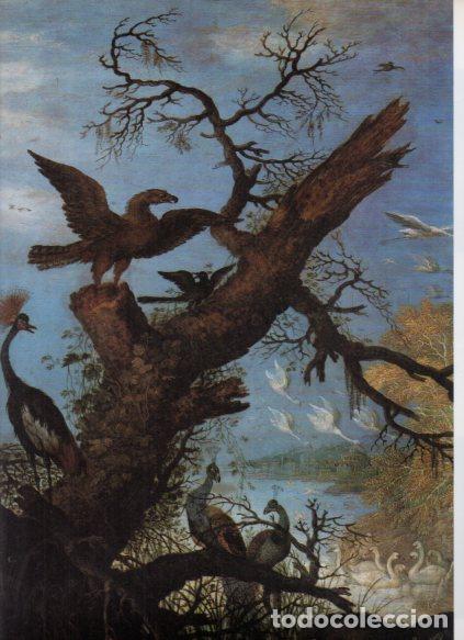 Libri di seconda mano: LAMINA V53171: Paisaje con pajaros por Roelant Savery. Detalle