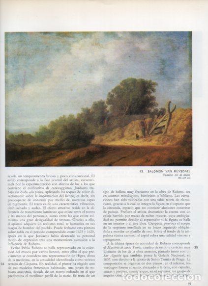 B&uuml;cher: LAMINA V53172: Camino en la duna por Salomon van Ruysdael