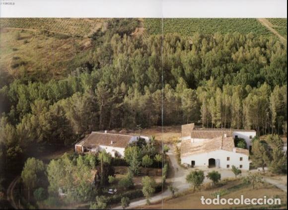 Libros: LAMINA V53520: Vinyes / Vi&ntilde;as Alt Penedes, Barcelona