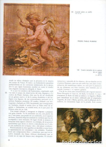 B&uuml;cher: LAMINA V53226: Cupido sobre un delfin y estudios de cabeza de un negro por Rubens