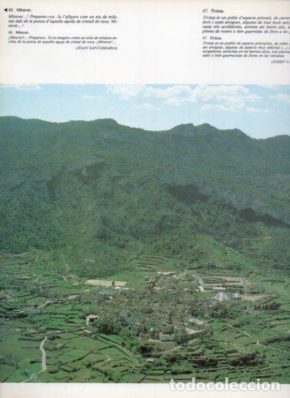 B&uuml;cher: LAMINA V53533: Tivissa vista aerea, Tarragona