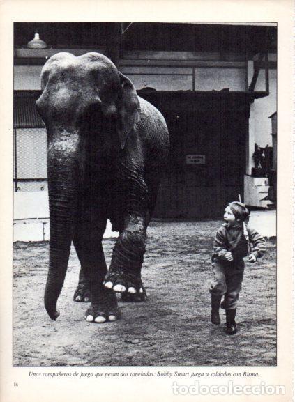 Libri di seconda mano: LAMINA V53656: Elefante junto a ni&ntilde;o jugando. Foto Parimage