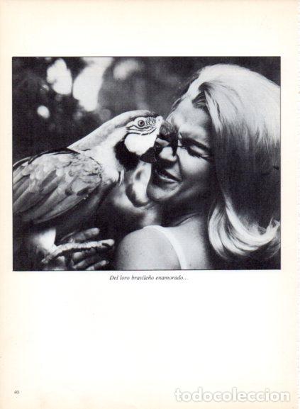 Libri di seconda mano: LAMINA V53668: Loro picoteando a una mujer. Foto Keystone