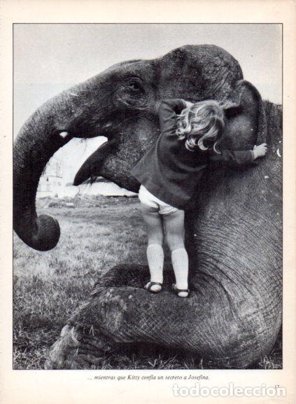 Libri di seconda mano: LAMINA V53657: Ni&ntilde;a jugando con un elefante. Foto Parimage
