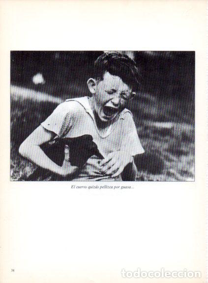 Libri di seconda mano: LAMINA V53667: Ni&ntilde;o pellizcado por un cuervo. Foto Keystone