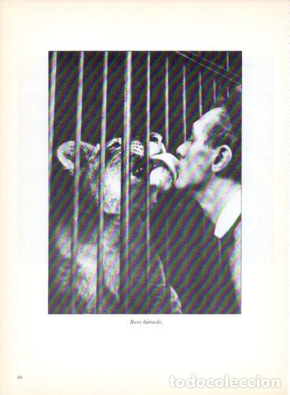 Livres: LAMINA V53672: Leona besando a un hombre. Foto Keystone