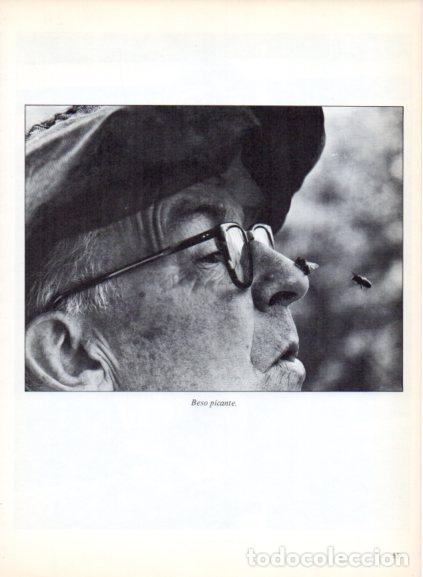 Libri di seconda mano: LAMINA V53676: Insectos sobre nariz humana. Foto Keystone