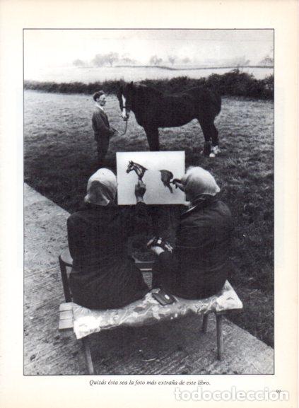 B&uuml;cher: LAMINA V53698: Mujeres pintando a un caballo. Foto Keystone