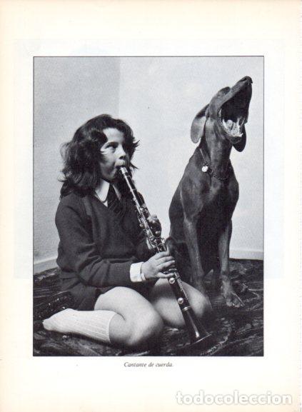 Libros: LAMINA V53697: Ni&ntilde;a tocando clarinete junto a un perro. Foto John Dodge