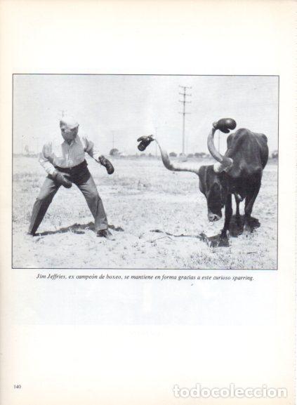 books: LAMINA V53718: Jim Jeffries campeon de boxeo con curioso sparring. Foto Keystone