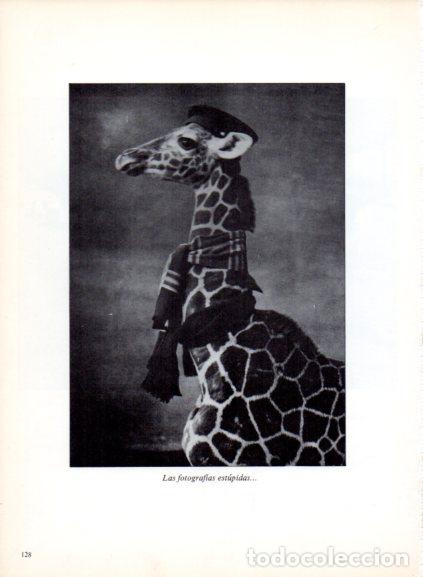 Libri di seconda mano: LAMINA V53712: Jirafa con bufanda y gorro. Foto Keystone