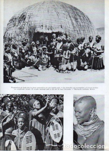 Livros em segunda m&atilde;o: LAMINA V53728: Preparativos de boda de familia zulu y muchacha turkhana de Kenya