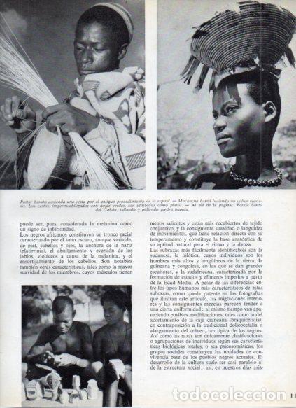 Libri di seconda mano: LAMINA V53726: Pastor basuto cosiendo cesta y muchacha bantu